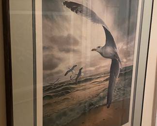 Charles Frace' Signed "Herring Gull" Print