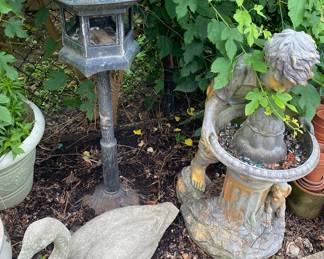 Fountain/Swan