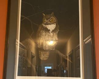 Signed and Numbered Ray Harm Owl Print