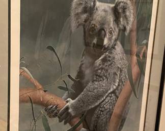 Charles Frace' Signed and Inscribed "Koala" Print