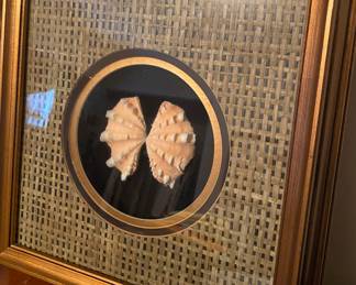 Framed Shells/Coral