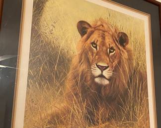 Charles Frace' Inscribed and Signed "African Lion" Print