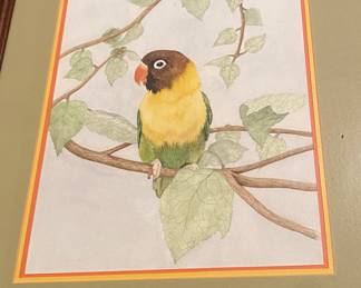 "Yellow Collared Lovebird" Framed Art