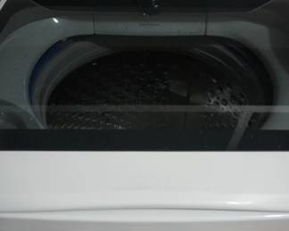GE Profile Washer 