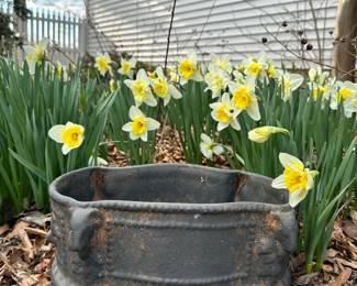F145 - $75 - Terra Cotta Planter - Made in Spain - Measures 15"W x 9"D x 7.5"T