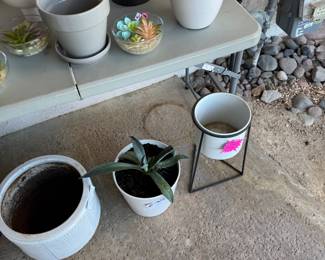 Tons of plants and Pots