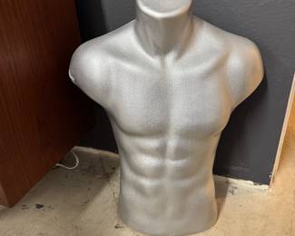 Display Torso