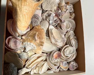 Shells