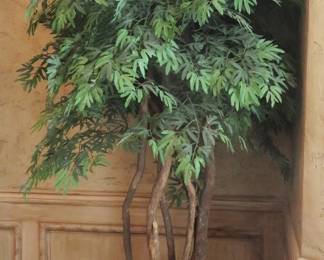 Low maintenance decorative tree