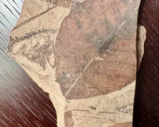 Fossil (B.C., Canada)