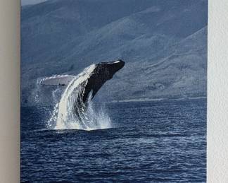 Wyland Artist Enhanced Photograph on Canvas - "Whale Flight" - $1,200.  16.5" x 11"