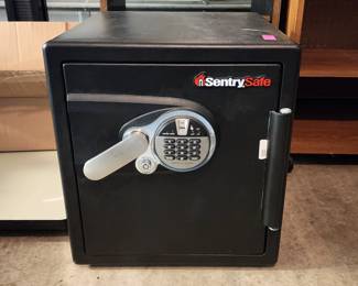 Sentry small fire safe