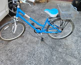 Womens Giant Suede Bike