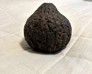 Seed Pod