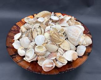 Decorative Centerpiece Bowl Filled with Seashells