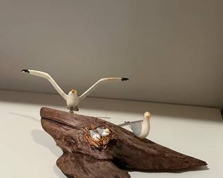 Driftwood and Seagulls!  See the nest & baby gulls?