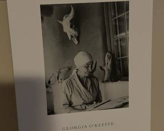 Georgia Okeefe - The Artist's Landscape