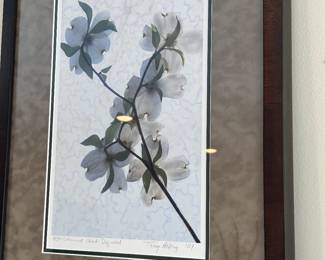 Signed and numbered Dogwood Print