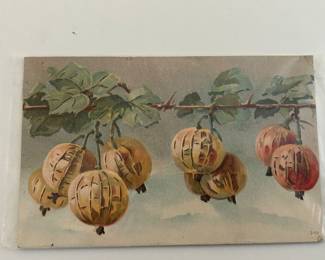 Very unusual antique post card!