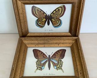 Butterfly art