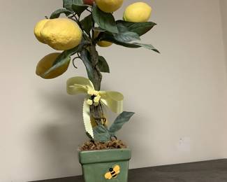Lemon tree