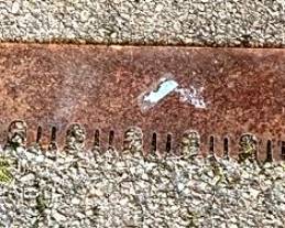 271 - Metal Saw Blade - 60" Long
