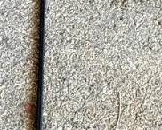 288 - Shepherd's Hook - 84" Tall
