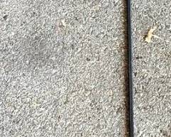 297 - Shepherd's Hook - 84" Tall
