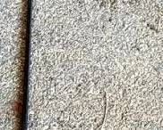 289 - Shepherd's Hook - 84" Tall
