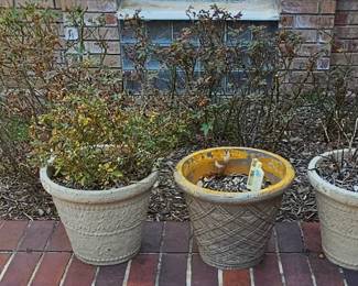 Lots of pots & some have rose bushes!