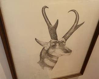 Gene Galasso / Pronghorn - signed / numbered $ 180.00