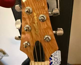 IBANEZ Talman Series TCM50 Acoustic Guitar with Figured Ash Top and Mahogany Back and Sides - Rosewood Fretboard with 24 Frets