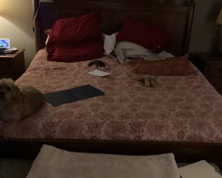 Sleep number bed