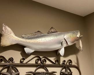 Taxidermy fish