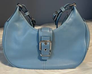 Baby Blue Leather Coach 