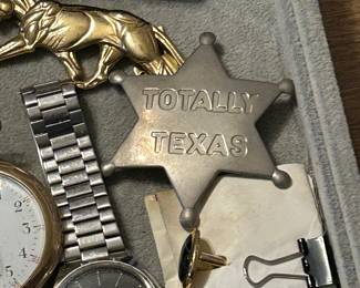 Texas star badge