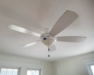 Illuminated ceiling fan