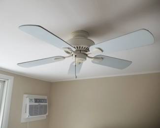 Ceiling fan