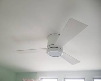Illuminated ceiling fan with remote