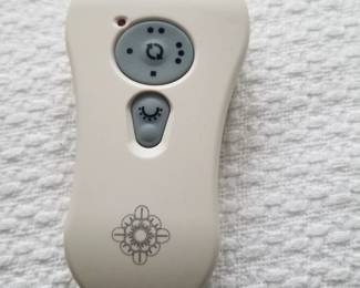 Illuminated ceiling fan with remote