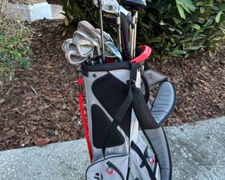 TaylorMade Golf Club Set w/ TaylorMade Flex Tech Golf Stand Bag