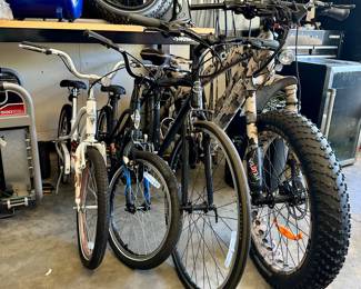 Bicycles: Addmotor Wildtan, Trek, Kid’s Electra