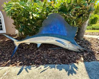 Taxidermy Sailfish Mount 