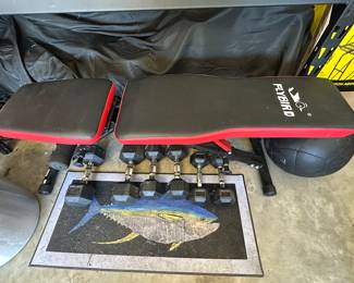Flybird Workout Bench and Weights