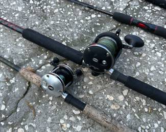 Penn Saltwater Fishing Rod & Reels