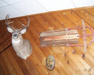  Bambi's dad Mount - vtg. sled 