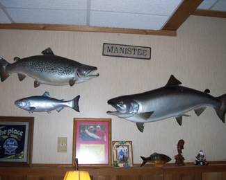 Client caught Salmon Fishies   37"  -  28"  -  19" Mounts