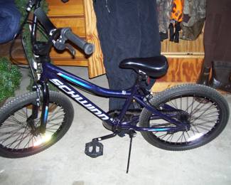 Schwinn Falcon kids bike