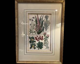 COLORED COPPER PLATE ENGRAVING, CUSTOM FRAMED, 25 1/2 HIGH BY 19 1/2 WIDE