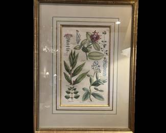COLORED COPPER PLATE ENGRAVING, CUSTOM FRAMED, 25 1/2 HIGH BY 19 1/2 WIDE